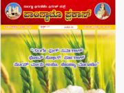 Nativity Of Mary 2023