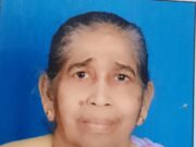 Mrs. Theresa Fernandes